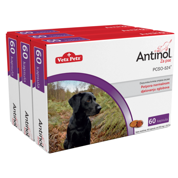 Antinol za pse - 180 kapsula AKCIJA!