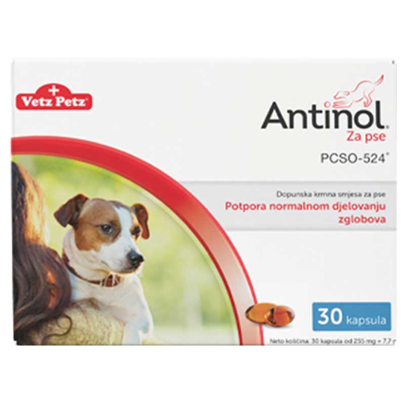 Antinol za pse 30 kapsula